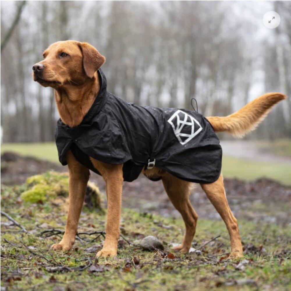 NWT Hundlands TREKKO Dog Rain Blanket - Size 40 - Swedish Outdoor Gear